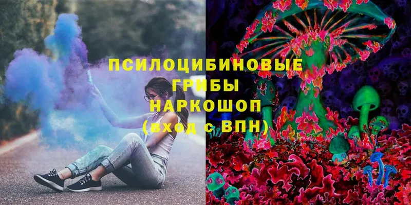 Галлюциногенные грибы Cubensis  цена   Нолинск 